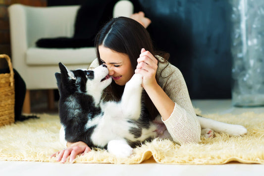 Beyond Companionship: Unveiling the Extraordinary Bond Between Humans and Dogs & Cats