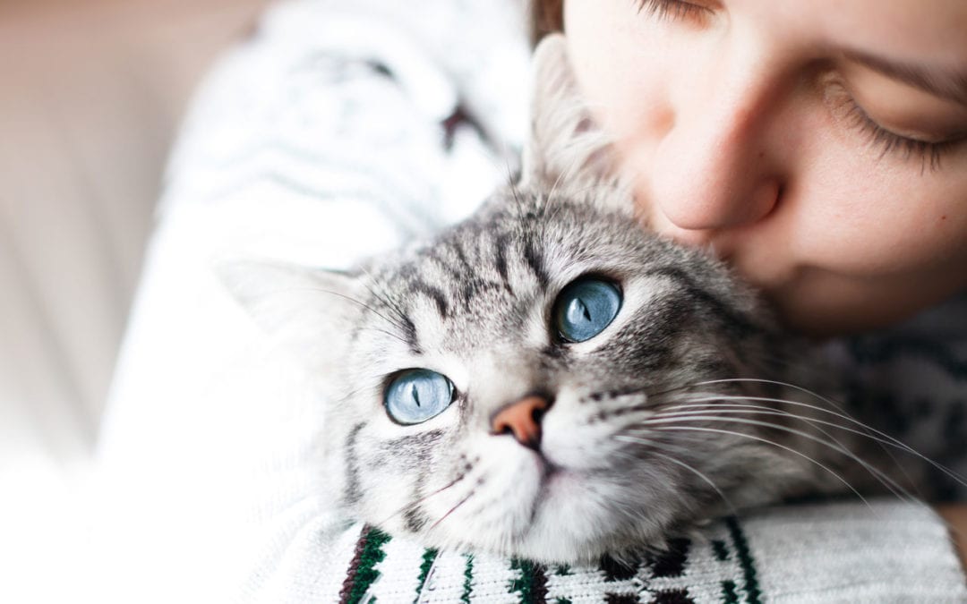 Well-Behaved Whiskers: The Importance of Training Your Pets with Dogs & Cats