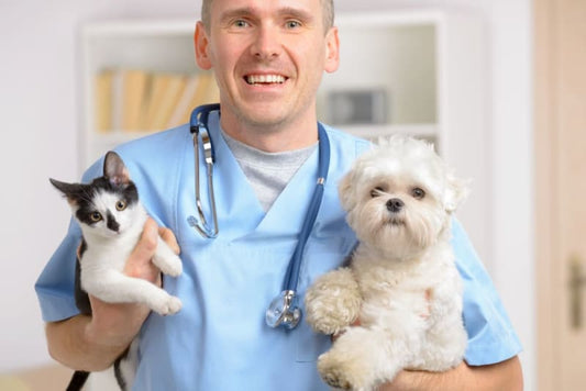 The Importance of Regular Veterinary Care: Keeping Your Pets Healthy with Dogs & Cats