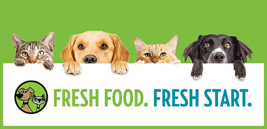 Nature's Best: Embracing the Benefits of Natural and Organic Pet Products from Dogs & Cats