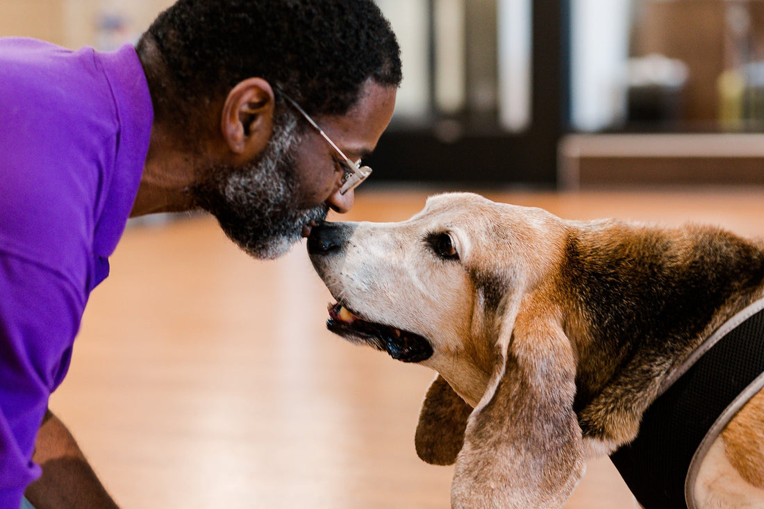 How to Strengthen the Bond with Your Pet: Building a Lifelong Connection