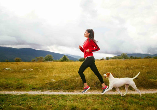 Keeping Your Pets Active: Fun Exercise Ideas for Dogs and Cats