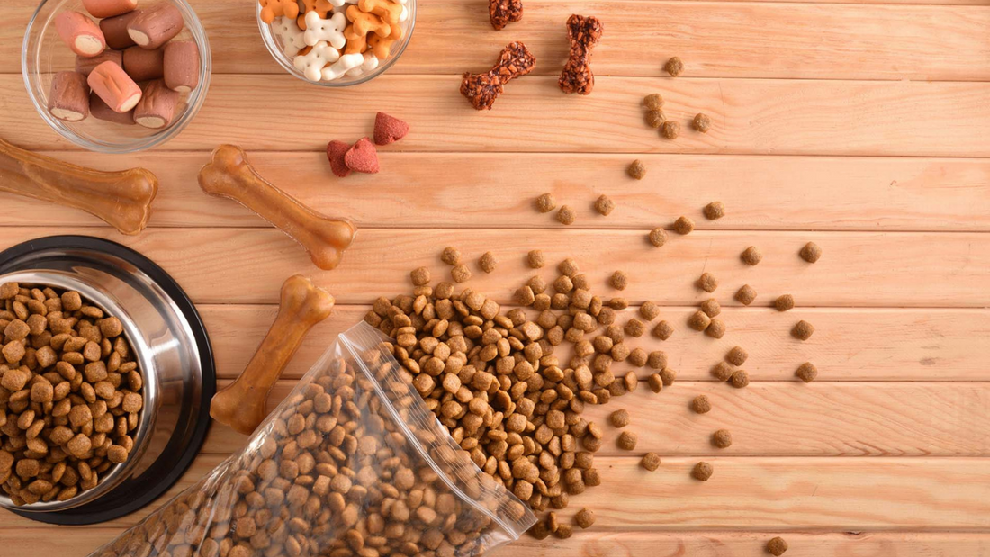 The Benefits of Proper Nutrition for Dogs & Cats: What You Need to Know