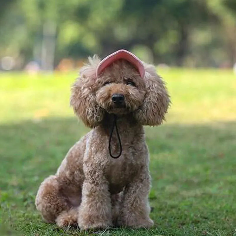 Pet Caps Small Puppy Cap Dog Baseball Visor Hat