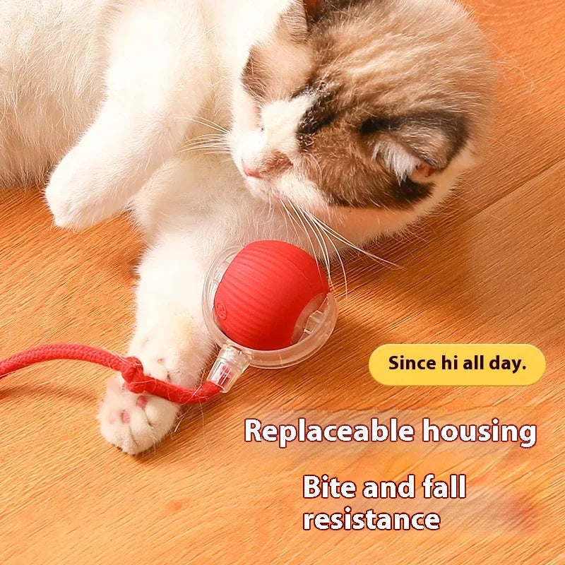 Interactive Cat Toy Auto Rolling Ball 