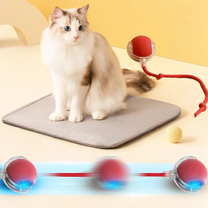 Interactive Cat Toy Auto Rolling Ball 