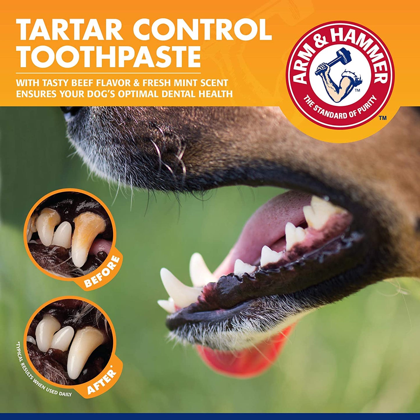 for Pets Tartar Control Enzymatic Toothpaste for Dogs | Reduces Plaque & Tartar Buildup | Safe for Puppies | Beef Flavor, 2.5 Ounces Dog Toothpaste