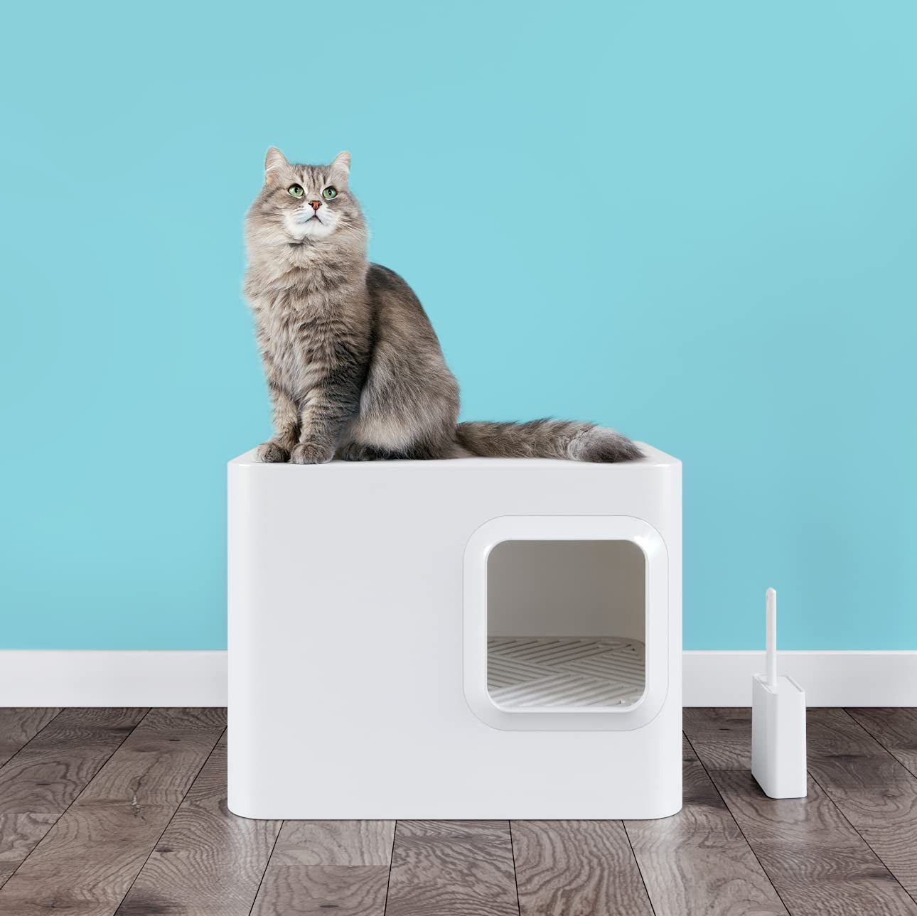 Meowy Studio Loo Modern Cat Litter Box - All in One Cover Litter Filter Plate Scoop and Holder, Aspen White