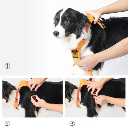 No Pull & No Choke Dog Harness with Retractable Leash