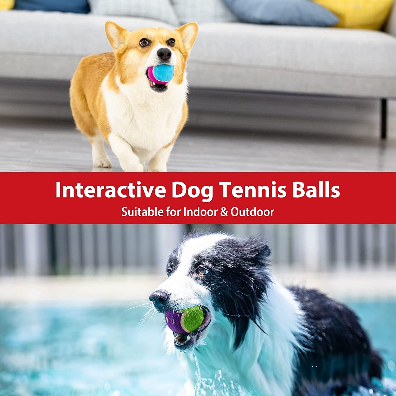 Tennis Balls for Dogs, Squeaky Dog Tennis Balls for Exercise, High Bouncy Dog Balls Bright Colors 2.5 Inches, Interactive Funny Dog Toys for All Breeds of Dogs Indoor & Outdoor Dog Games, 3 Pack