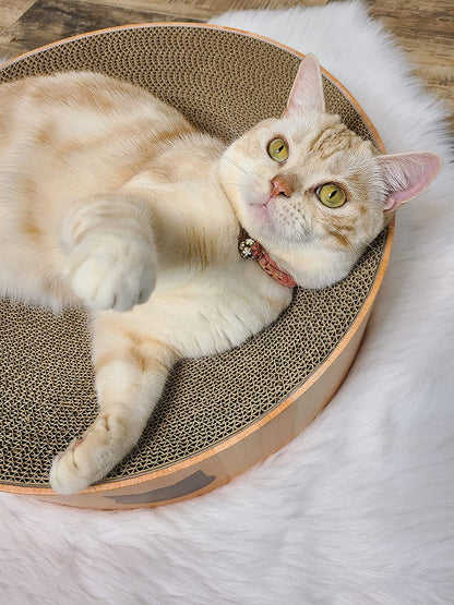 Cozy Cat Scratcher Bowl, 100% Recycled Paper, Chemical-Free Materials.